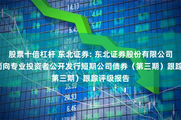 股票十倍杠杆 东北证券: 东北证券股份有限公司2025年面向专业投资者公开发行短期公司债券（第三期）跟踪评级报告