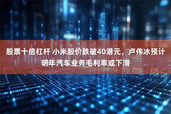 股票十倍杠杆 小米股价跌破40港元，卢伟冰预计明年汽车业务毛利率或下滑