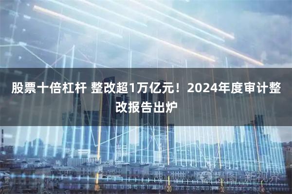 股票十倍杠杆 整改超1万亿元！2024年度审计整改报告出炉